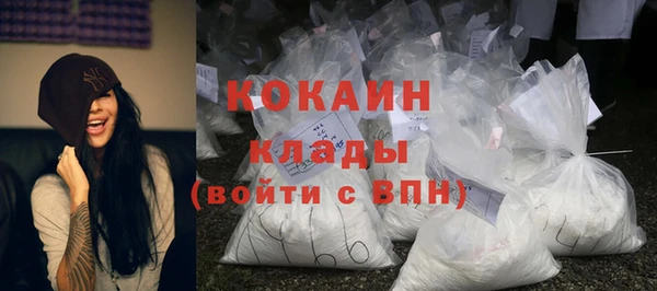 меф Пересвет