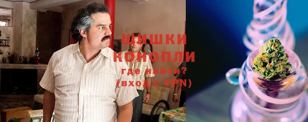 индика Покачи