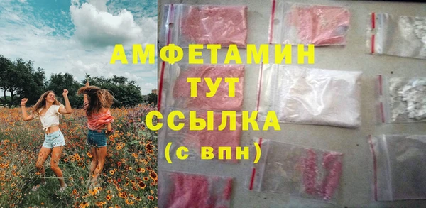 меф Пересвет