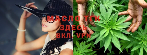 меф Пересвет