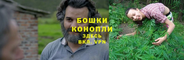 крисы Переславль-Залесский
